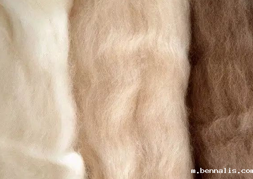 什么是羊绒?羊绒<a href=//m.bennalis.com/ target='_blank'>面料</a>的优缺点?