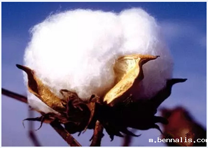 面料支数代表什么意思?40s跟60s的哪个好