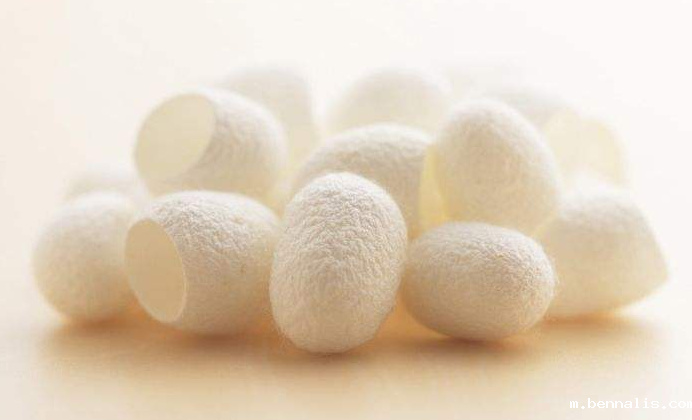 桑蚕丝<a href=//m.bennalis.com/ target='_blank'>面料</a>的洗涤方式