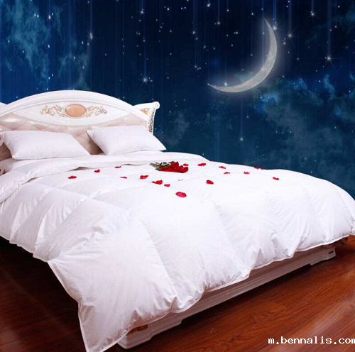 鹅绒被好还是蚕丝被好?