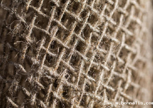 苎麻和亚麻面料的区别